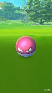 お台場で出現したビリリダマ