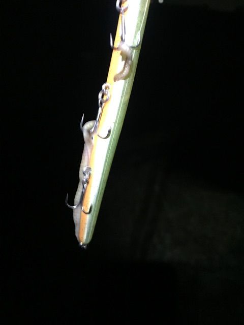 f:id:h_kagawa:20150209102403j:plain f:id:h_kagawa:20150209102403j:plain