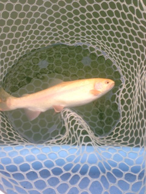 f:id:h_kagawa:20150302143806j:plain f:id:h_kagawa:20150302143806j:plain