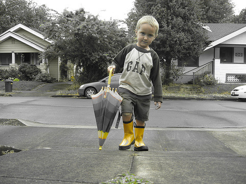 663884522_aa9eb6d4a7