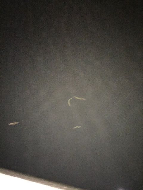 f:id:h_kagawa:20150308164409j:plain f:id:h_kagawa:20150308164409j:plain