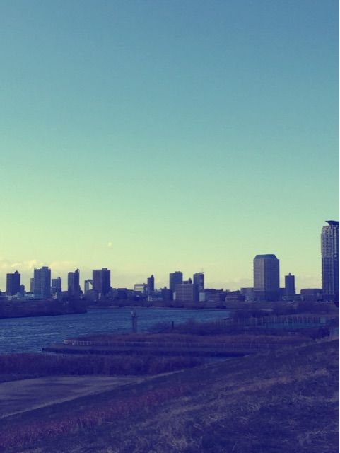 f:id:h_kagawa:20150118233643j:plain