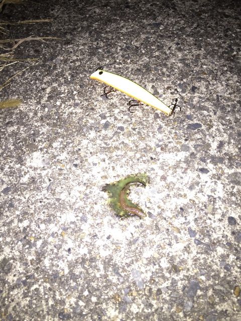 f:id:h_kagawa:20150208003326j:plain f:id:h_kagawa:20150208003326j:plain