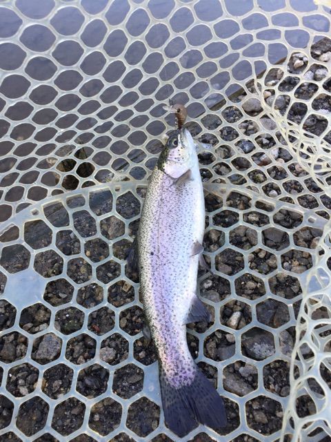 f:id:h_kagawa:20150305112400j:plain f:id:h_kagawa:20150305112400j:plain