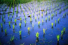 f:id:h_kagawa:20150227113040j:plain f:id:h_kagawa:20150227113040j:plain