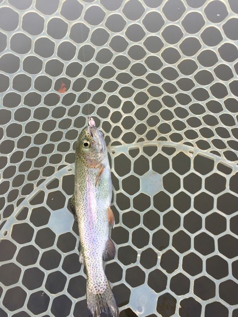 f:id:h_kagawa:20150316185241j:plain