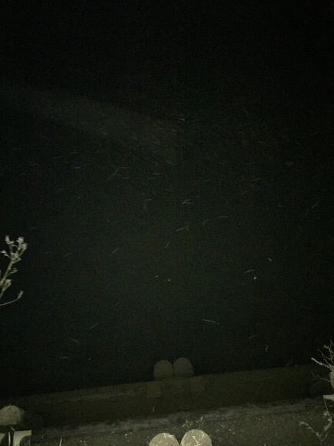 f:id:h_kagawa:20150309123759j:plain