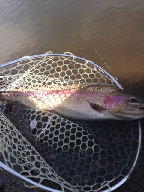 f:id:h_kagawa:20150228141752j:plain f:id:h_kagawa:20150228141752j:plain