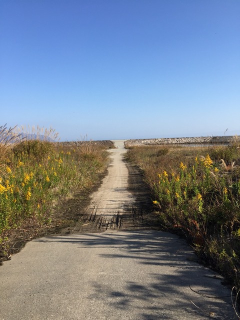 釣り天国だった佐渡ヶ島へ、格安旅行を計画中