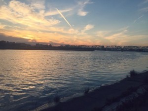 久しぶりの地元シーバス。雷を感じて即撤収