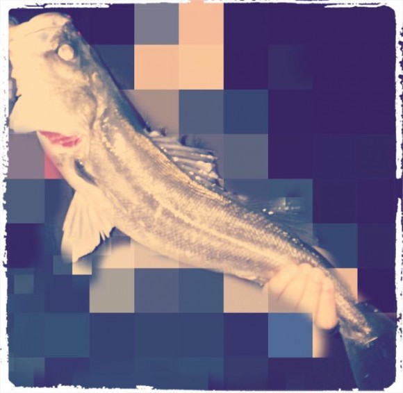 １月から荒川に週４で通い続けると何が起こるのか