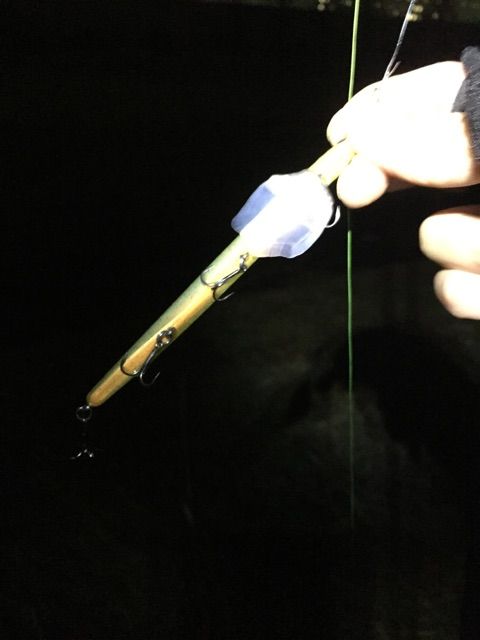 【速報】タモ入れ失敗してバラシ、ほか3バイト!!