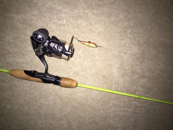 トラウトタックルでシーバスに挑む!しかもトップで!