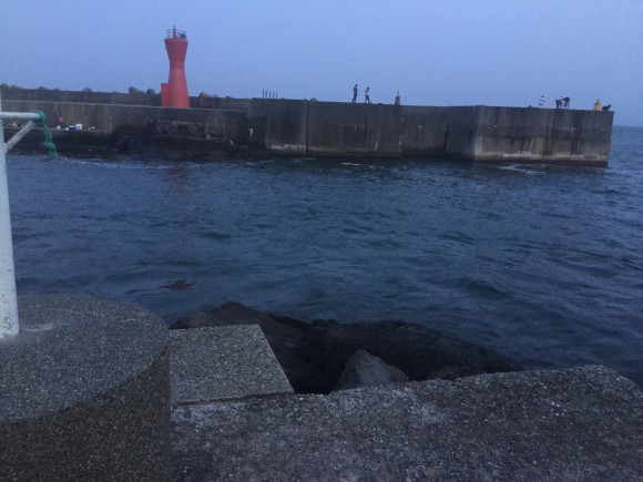 ライトショアジギングとは。調べてみた-今後やってみたい釣りシリーズ