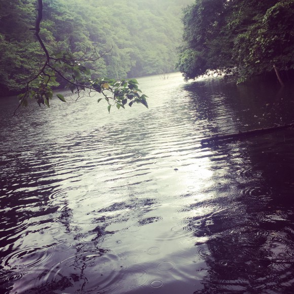 7月亀山ダム釣行後半のダイジェスト!バス4+デカギル1追加