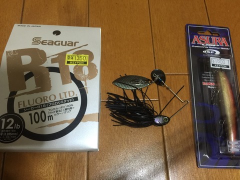 春だしジャークベイトも投げたいです