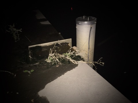 長潮干潮の荒川支流、痛恨の抜きあげ時バラシ