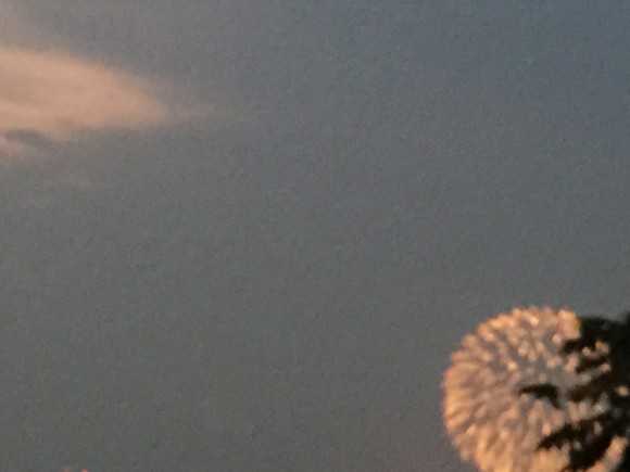 シーバス絶不調!まさかの5連敗…