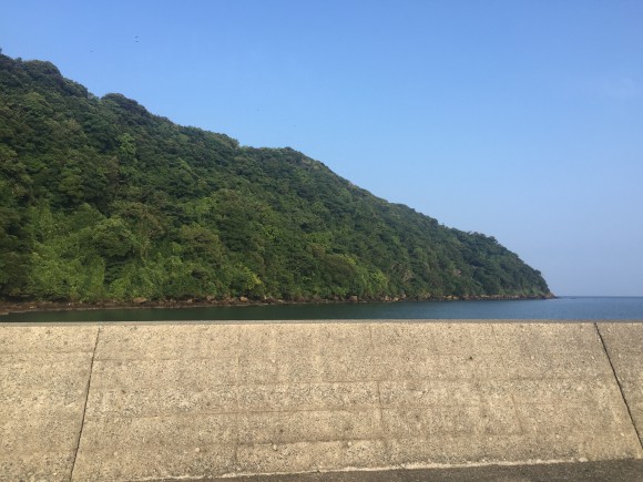 青物にシーバス、メッキ、マゴチ、アジングも。何かしら釣れてほしい館山の海へ