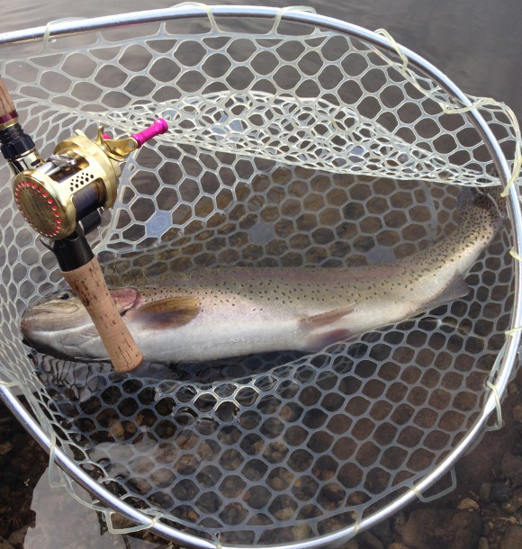 ウォーターランド「70すっぽり」エリアトラウト用ネット-買ってよかった釣具シリーズ