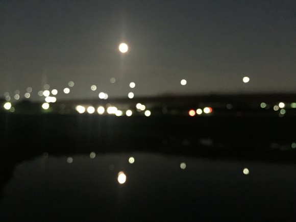 水路のイナッコボイルが始まっているのか確認に行ってきました