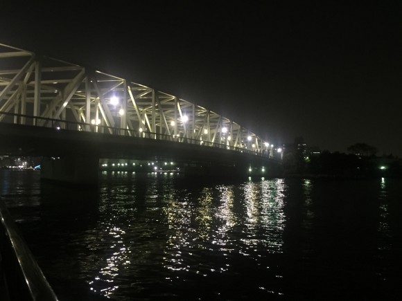 ハロウィンだから竿かついで東京メトロに乗ってついでにシーバス釣ってきた