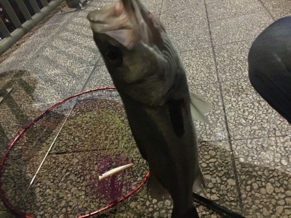 タモ・ネットの携行性をアップして釣りの幅を広げてくれるジョイントパーツ&ホルダー