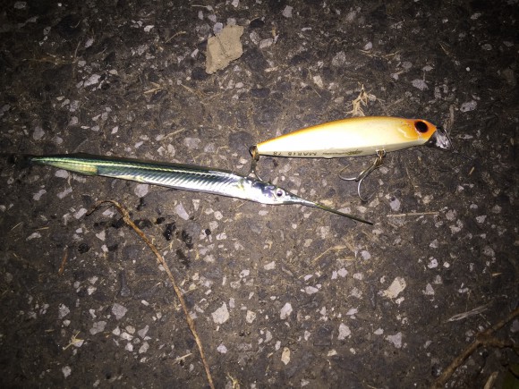 【びっくり】大潮の荒川では何でも釣れる。今年湧いてる細長い奴も