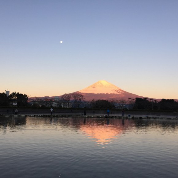 2015年12月東山湖FAの釣果と釣り方レポートを提出します。