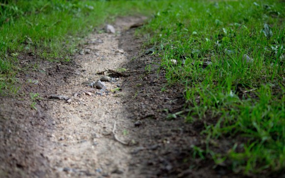 ひとつの区切りを迎えました。ブログ月間10万PV超え
