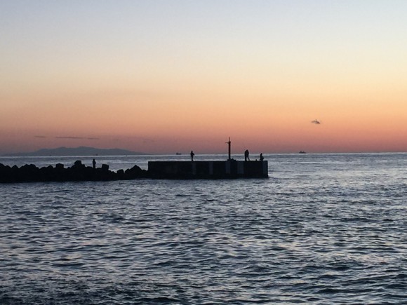 千葉、内房〜外房カマスやアジ、ヒラメ