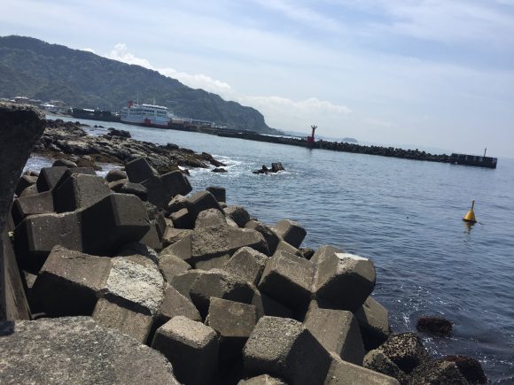 房総半島で春の夜釣り(野獣成分多め)
