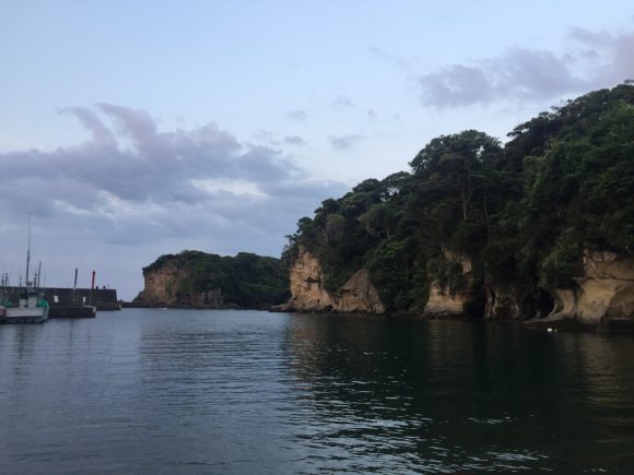 外房、アジを求めて(白目)。6月18日夜~19日朝まで釣行