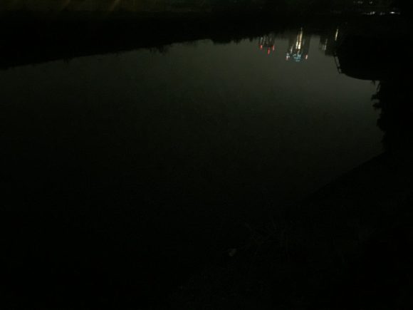 台風ボーナスを期待して夜の荒川へ行ってみた