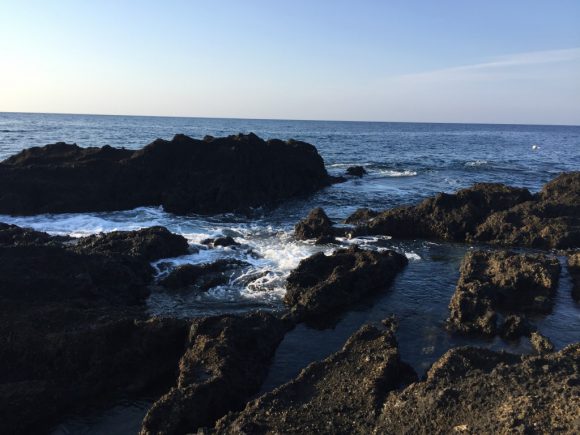 ぼくのなつやすみ2016佐渡 2日目 午前-地磯で青物・ロックフィッシュ!