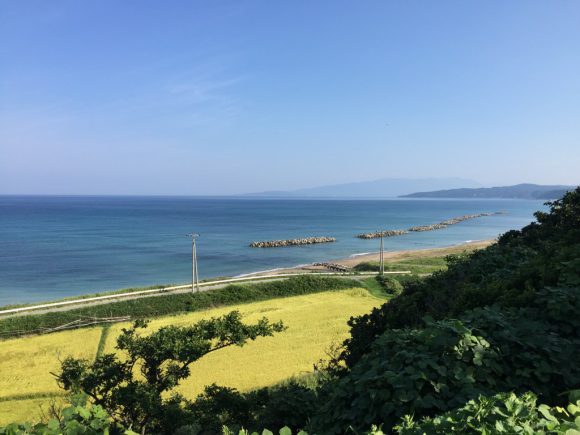 ぼくのなつやすみ2016佐渡 3日目-最終日はあんまり釣りしてないんだけど、それは最初に聞きたかった的な