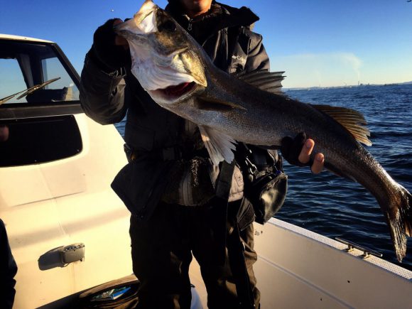 年末のボートシーバス、ジギングとミノーイングで入れ食い納め