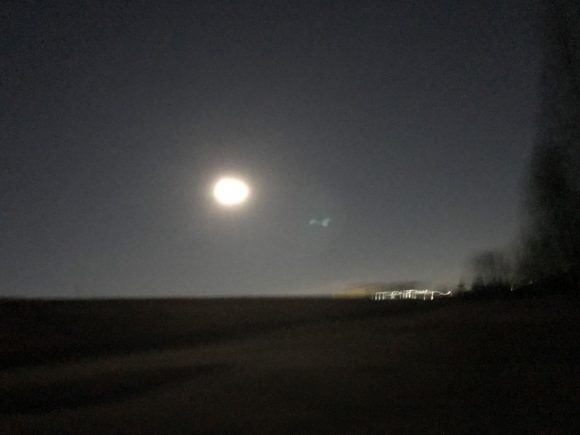 2月最初の潮回り、荒川バチ抜け調査の結果