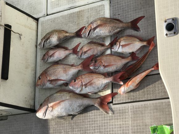 タイラバとはなんぞや?基本知識とコツをおさらい