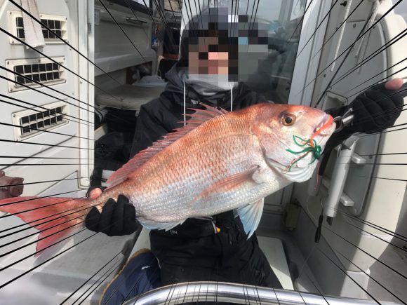 2017年本格的な初釣りで、めでタイ!大漁!大鯛降臨!!春の鯛祭りや~