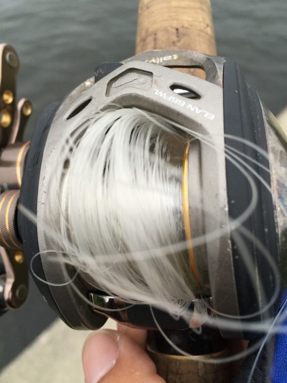 【リールのスペックを理解する】スプールの慣性モーメントと、指で回すの意味ないって話