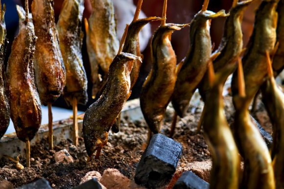 荒川を遡上する稚鮎のサイズしってる?35億!ウソ10cm(意外に大きかった)