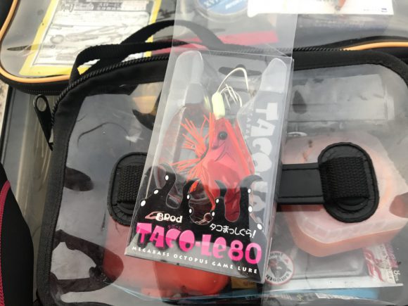 今年の夏はタコをルアーで釣りたいと思っている。釣り方や時期など