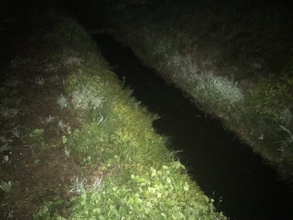 ナマズからのシーバスサイクリング