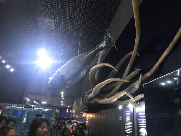国立科学博物館「深海展」に行ってきたけど激混みでちーん