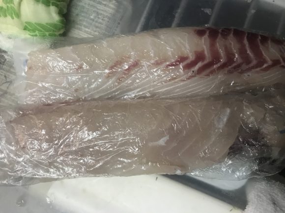 釣った魚を美味しく食べるピチットシートシリーズ「刺し身が美味くなるシート」「一夜干しシート」使ってみたので感想