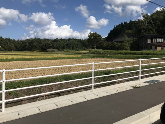 ついにきた!デカアジキジハタ!秋本番の2017佐渡ヶ島釣行1日目