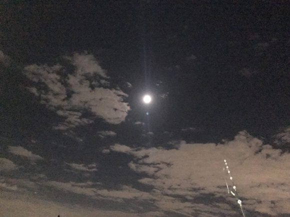 秋の訪れを感じる4ヒット-荒川本流シーバス-