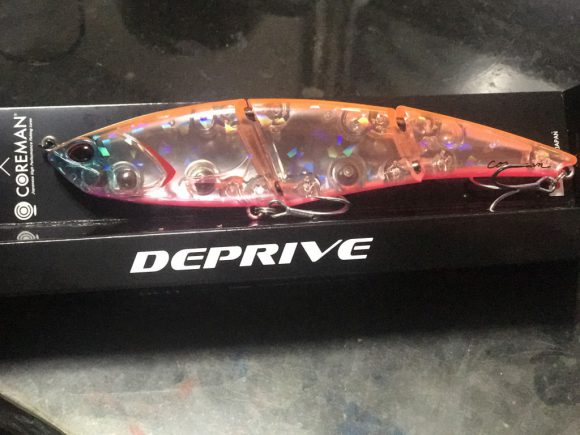 【コアマン×DUO デプライブ】気になってた2017リリースのシーバスルアーいくつか買ってみた