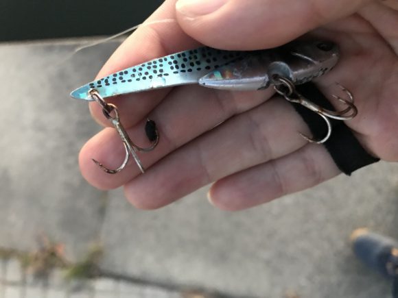 12月の荒川でデイゲーム-正体不明の1バラシ